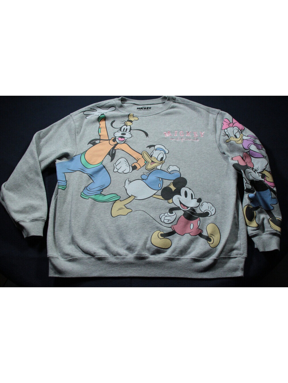 Women's Mickey & Friends Disney Sweatshirt 2X Goofy Minnie Daffy Daisy Duck